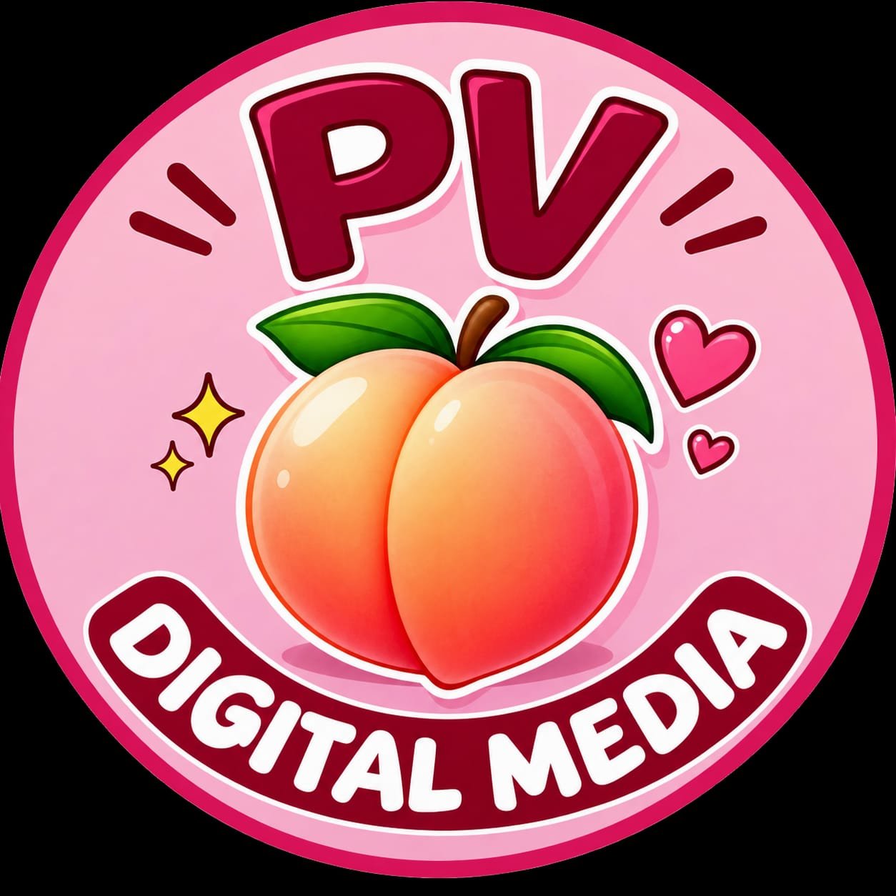 P V DIGITAL MEDIA